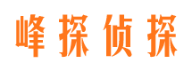 延津市侦探调查公司